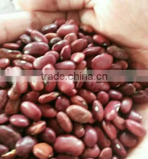 Chinese Small Red Kidney Beans Crop 2014 Factory 100% photo-2