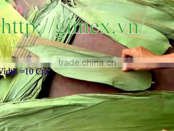 Bamboo Leaf Japan Market; Bamboo Leaves photo-2