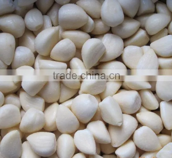 Good Qaulity IQF Peeled Garlic photo-4