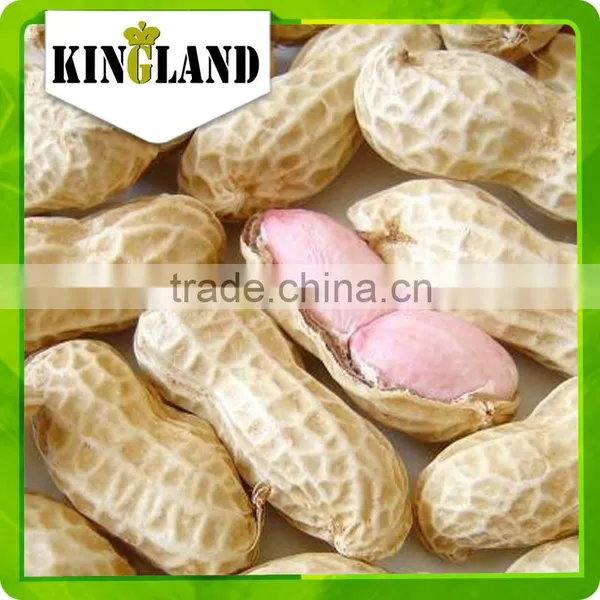 Manufacturer Peanut in Shell photo-2