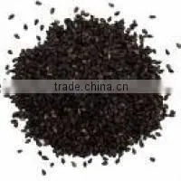 Sesame Seeds photo-6