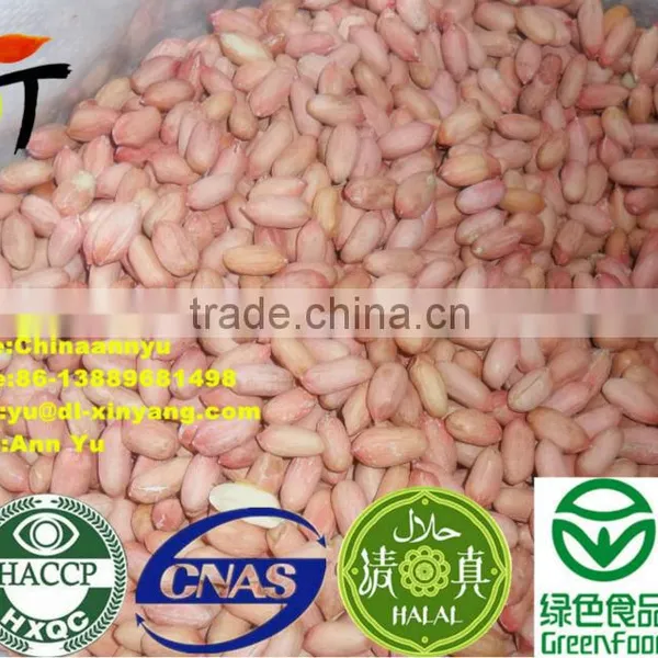 High Quality Red Skin Peanut ,peanuts photo-5