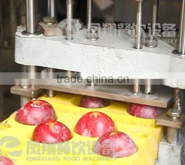High Quality Plum Stoner, Plum Pitter, Plum Corer With CE Certificated photo-5