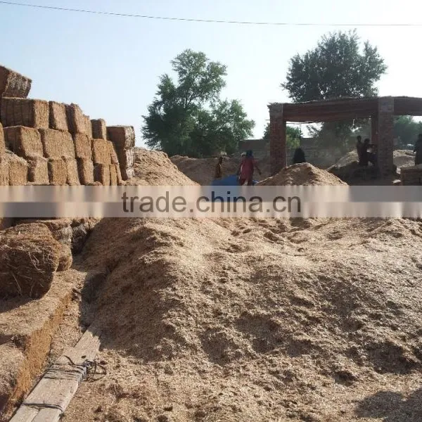 Wheat Straw photo-2