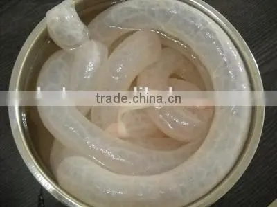 Automatic Animal Intestine Casing Washing Cleaning Machine for Sheep/pig photo-6