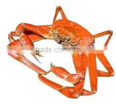 Chinese Made Cosmetic Grade Chitosan photo-5