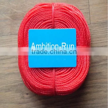 PE Fishing Rope, PP/PE Colorful Rope photo-4