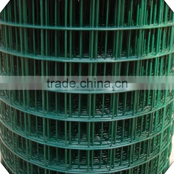 1*30m Hot Sale 1/4 Inch Galvanized Welded Wire Mesh for Sale photo-4