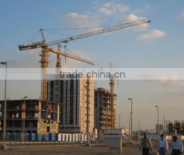 Chinese Famous Tower Crane in Building Mansion up to 140 Meters TC4010 photo-3