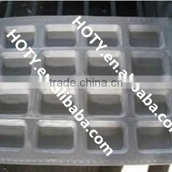 2016 Blister Mould Manufacturer photo-2