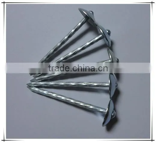 Cheaper Price Galvanized Roofing Nail With Umbrella Head photo-3