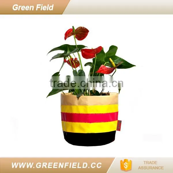 Canvas Grow Bag Color Custom Flower Pot photo-2