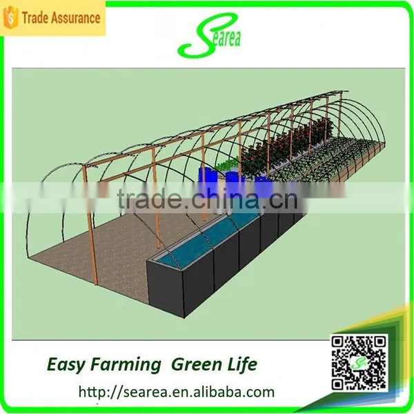 Plastic Covered Tunnels Greenhouses photo-3