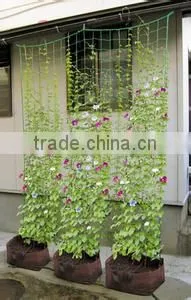 Plant climbing net