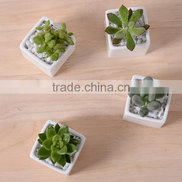 Indoor 2 Inch Small Rectangular White Ceramic Planters for Succulents photo-3