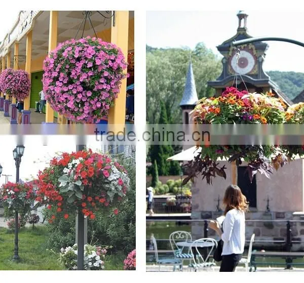SOL Hydroponics Tiny Garden Planter Easy Fill Hanging Basket Vertical Grow System photo-2