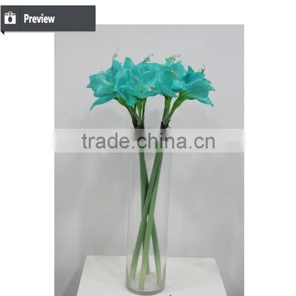 Cheap Wholesale Large Amaryllis for Halloween Arrangement photo-3