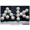 PA66 25.4mm Bearing Ball