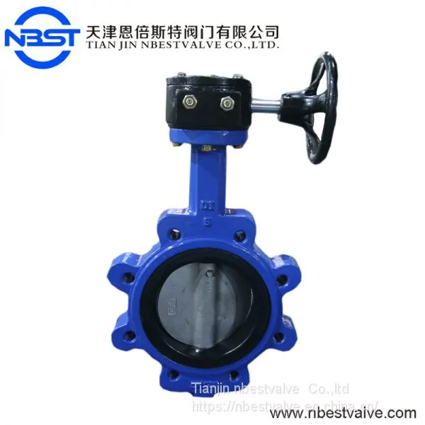 SS316 Industrial Manual Lever Lug Type Butterfly Valve LTD71XR-10R photo-3