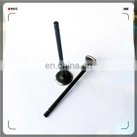 Oem 5S6452 5S6449 Engine Valve for 3304 Catd4 photo-3