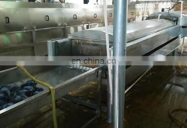 Mini Poultry Slaughter Equipment/duck Slaughter Machine Halal Chicken Slaughter Machine for Sale photo-4