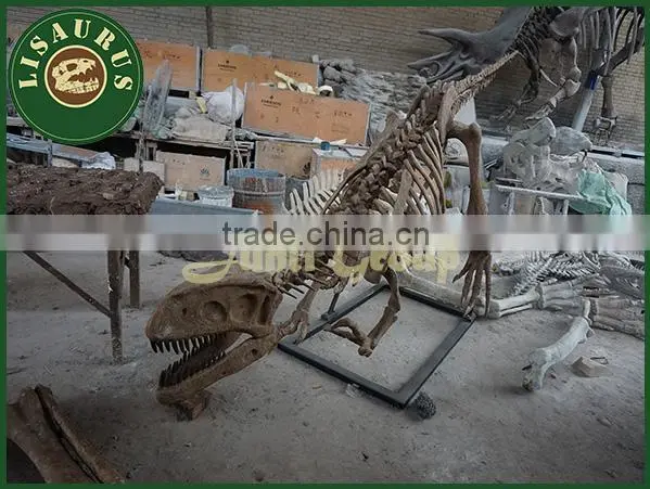 Lisaurus I High Quality Dinosaur Skull Puzzle Dinosaur Steel Skeleton for Sale for Theme Park Dino Park Dinosaur Skeleton Model photo-4