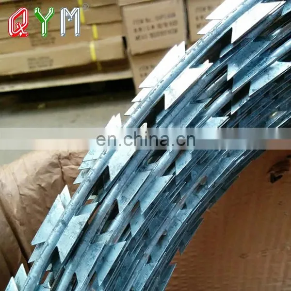 CBT65 CBT60 Galvanized Security Concertina Razor Wire With Pallet photo-2