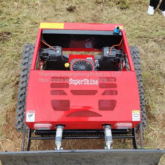 China RC Mowing Robot With Best Price For Sale Buy Online photo-2