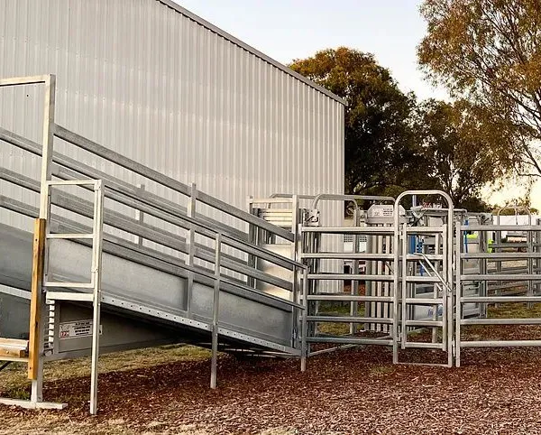Heavy Duty Cattle Loading Ramp With Winch Galvanized Portable Livestock Cattle Goat Sheep Loading Ramp photo-4