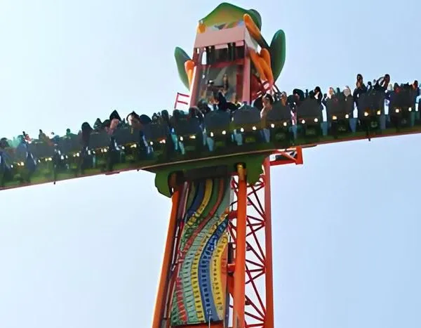 Frog Hopper Drop Tower Ride photo-3