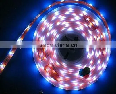 LED Christmas light waterproof Out door lighting LED Strip lights 5050SMD 20.1W/M