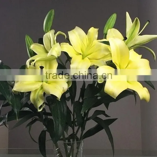 Durable Yellow King Yellow Lilies Flower photo-3