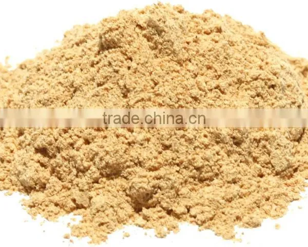 Superior Quality Amla Powder Bulk Producers photo-2