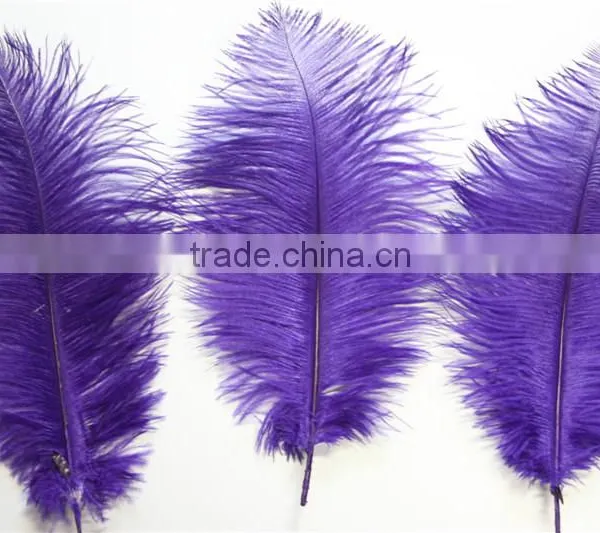 14"-16" Wholesale Purple Ostrich Feather Fabric For Ostrich Feather Fan Decoration photo-6