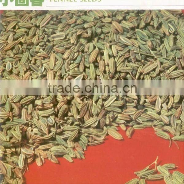Cummin Seeds