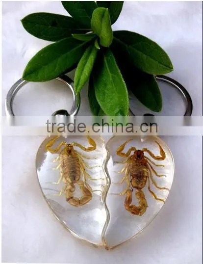 Wholesale Real Insect Crystal Chain, Crystal Customized Real Insect Key Chains