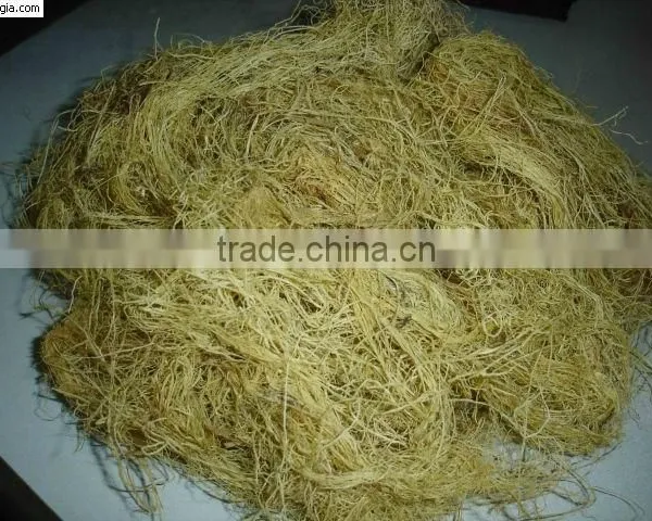 Gracilaria (seaweed)