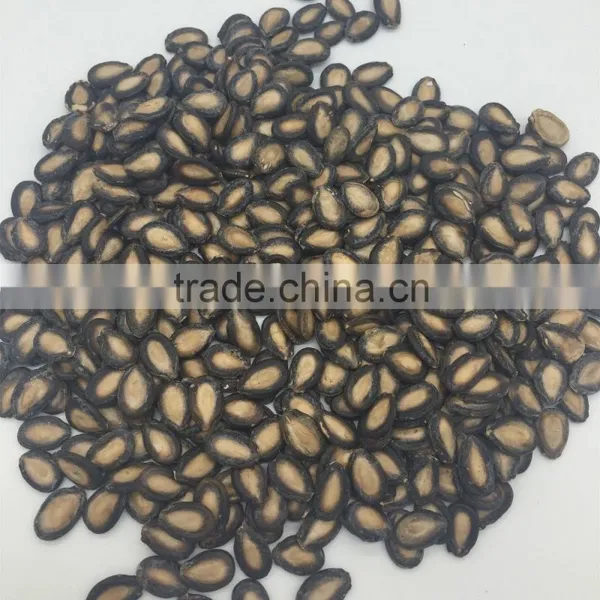 Hybrid Watermelon Seed photo-3