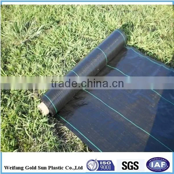 Manufacturer! Woven Polypropylene Ground Cover Fabric