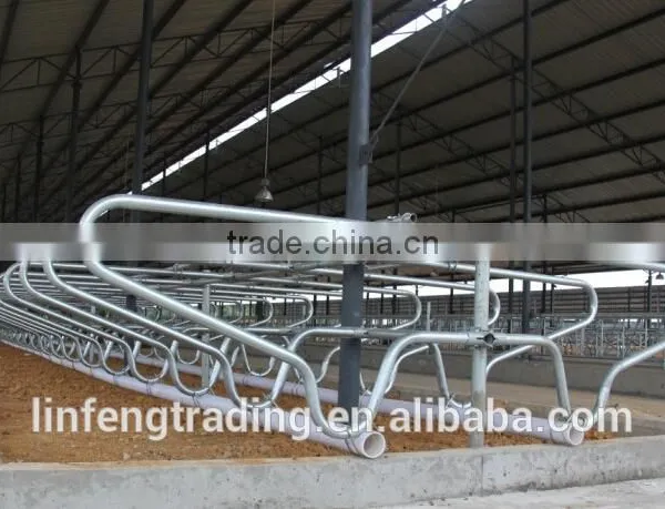 Cow Lying Bar, Cow Lying Bed, Cattle Bedrest photo-3