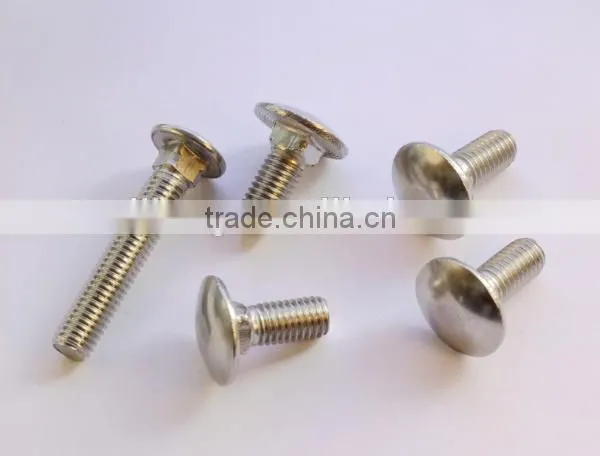 S.S T Shape Screws photo-3