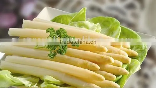 Canned White Asparagus Spears in Tall Glass Jars 370ml photo-5