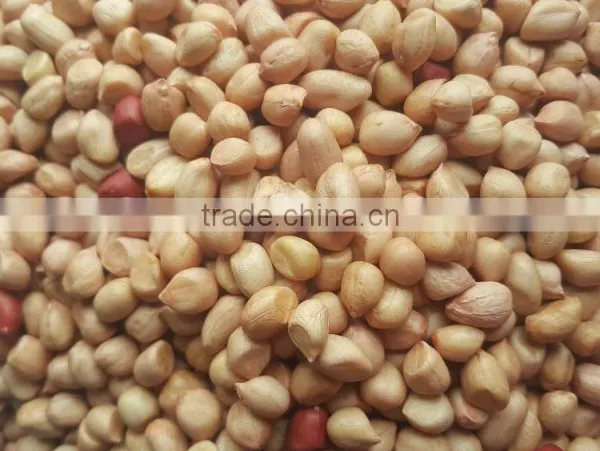 Ground Nut Kernel