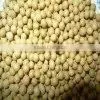 Yeallow Soybean