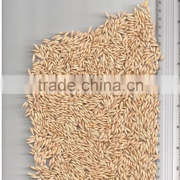 OATS
