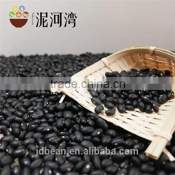Small Black Kidney Bean /black Bean Price photo-5