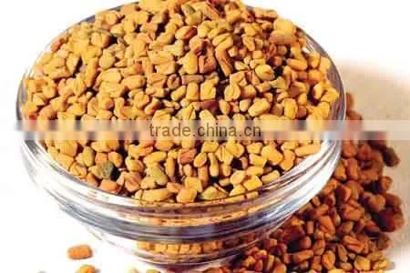 FENUGREEK SEEDS photo-2