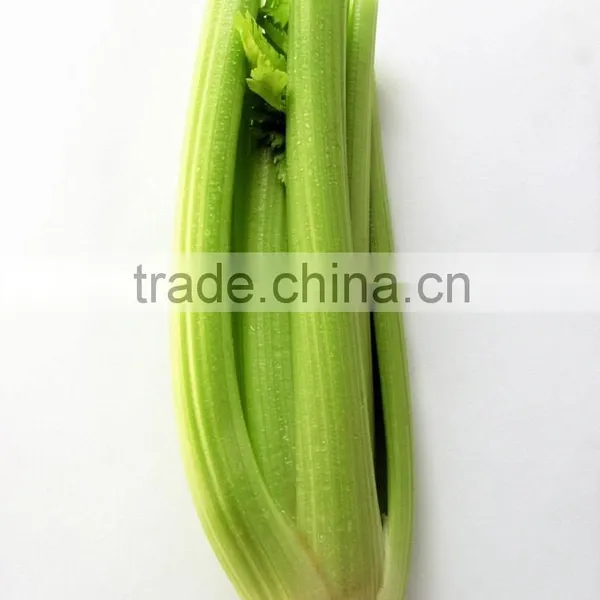 Hot Sale IQF Celery Slice/frozen Celery photo-3