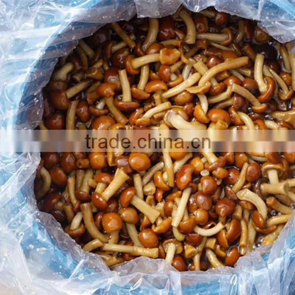 Names of Edible Mushrooms:nameko,oyster Mushroom,shiitake Mushroom