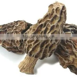 Dryied Morels Dried Morels Mushroom Dried Mochella photo-2